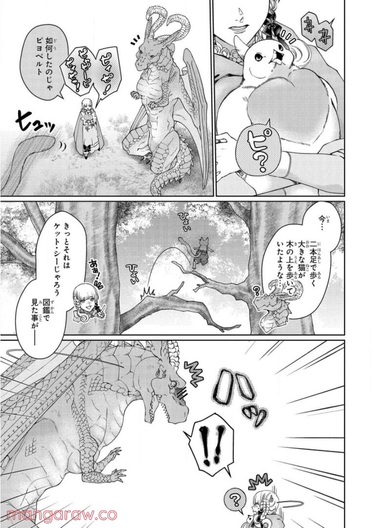 ドラゴン、家を買う。 第34話 - Page 15