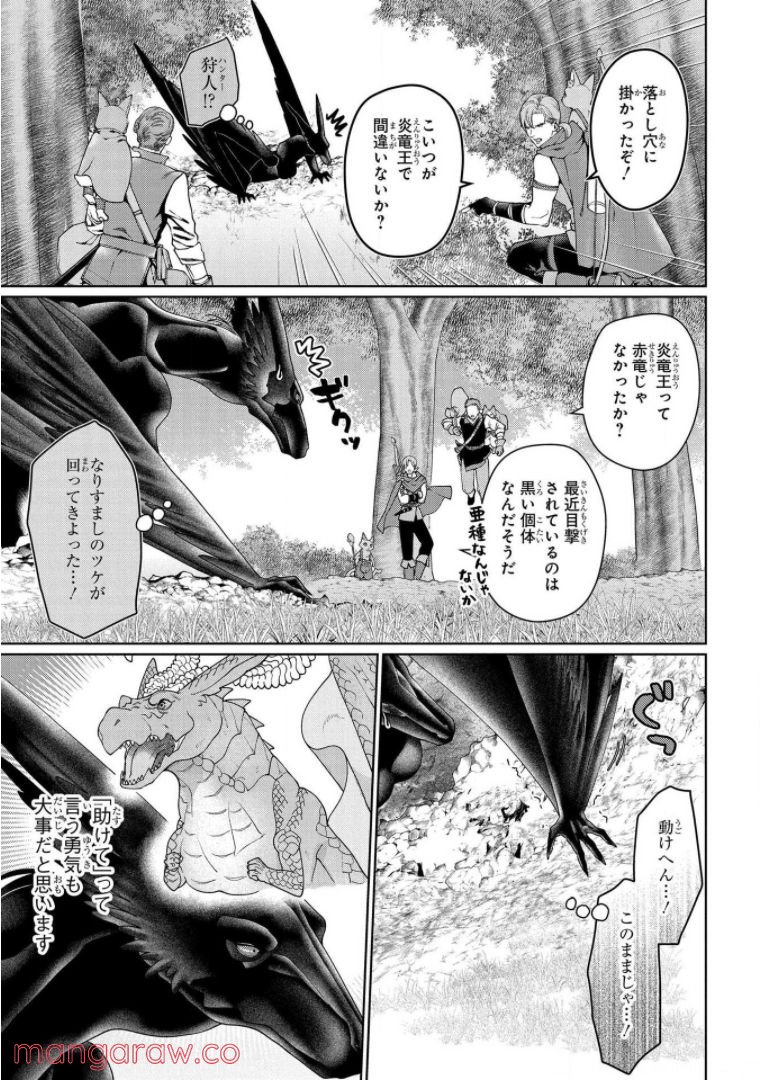 ドラゴン、家を買う。 第34話 - Page 17