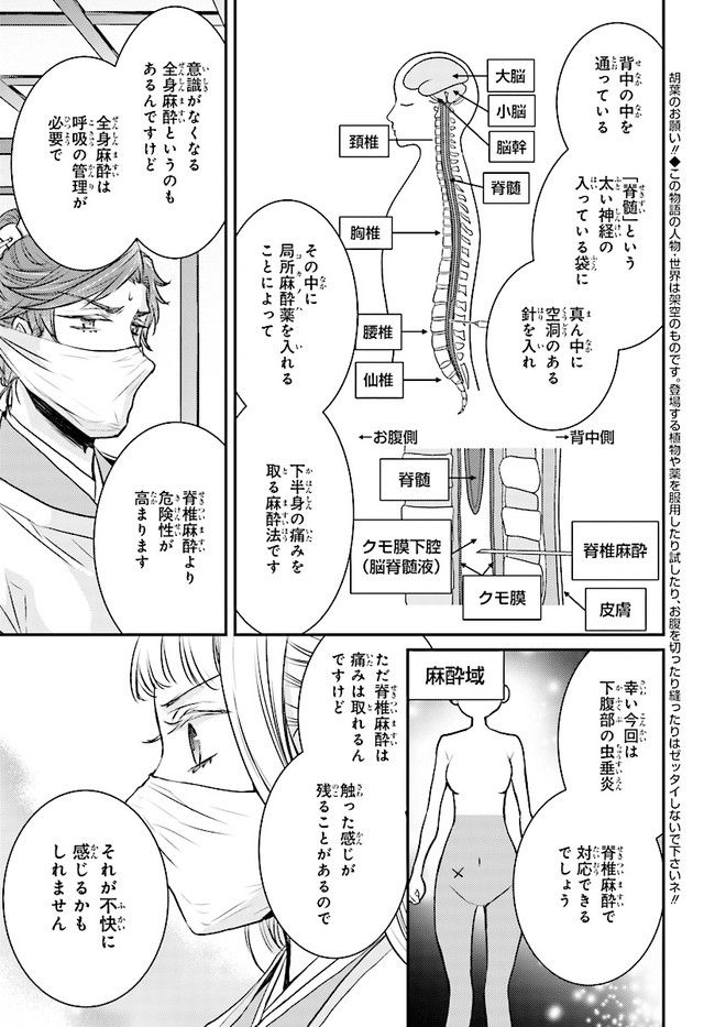 月華国奇医伝 第10.1話 - Page 3