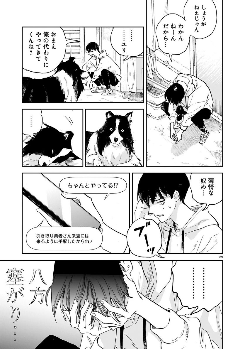 【新連載】めくり、めぐる 第1話 - Page 39