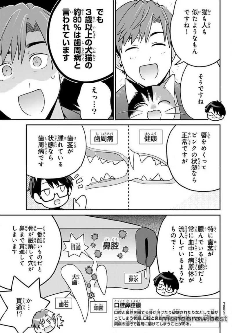 はたらく細胞猫 - 第13話 - Page 23