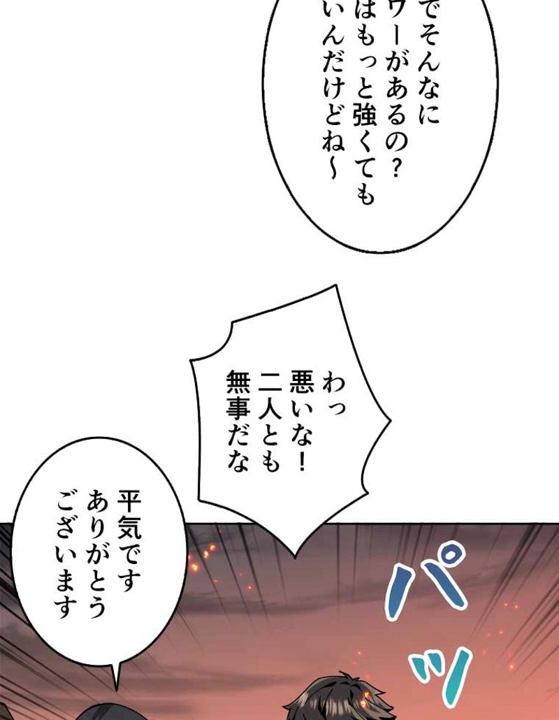 神災級ハンターの帰還 第65話 - Page 63