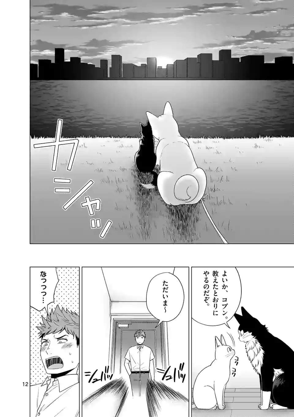 猫のしもべにされまして 第29話 - Page 12