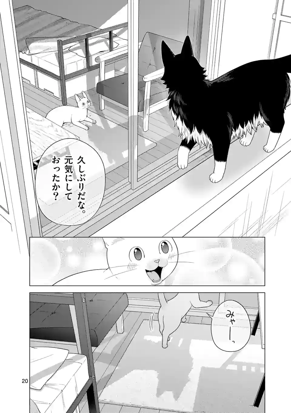 猫のしもべにされまして 第31話 - Page 20