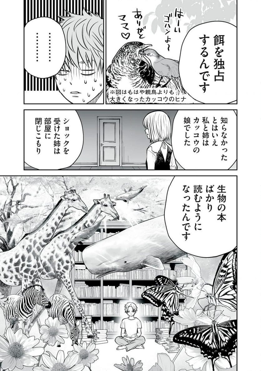 あくまでクジャクの話です。 - 第13話 - Page 11