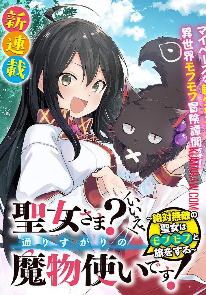 聖女さま？ いいえ、通りすがりの魔物使いです！ ～絶対無敵の聖女はモフモフと旅をする～ - 第1話 - Page 3