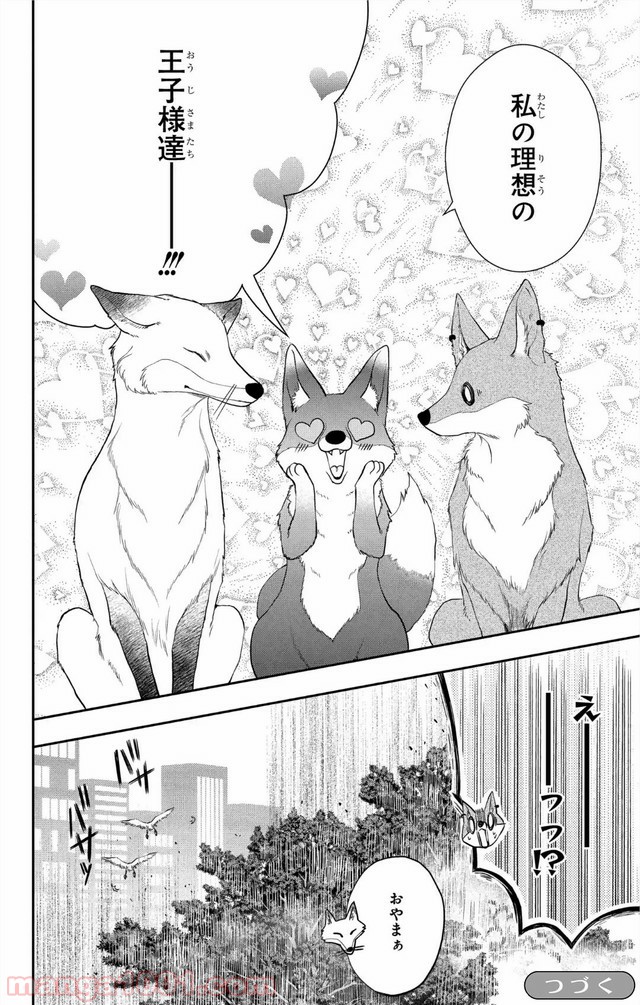 ラブ・ミー・ぽんぽこ！ 第6話 - Page 27