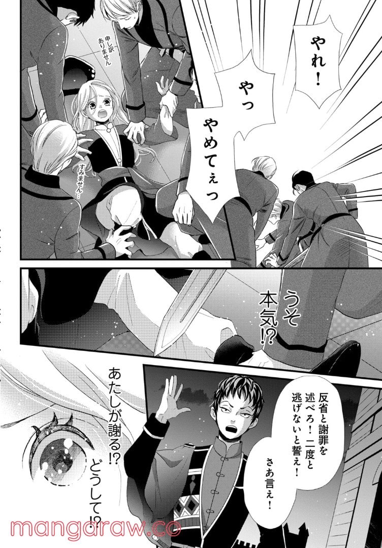 星降る王国のニナ 第15.3話 - Page 6