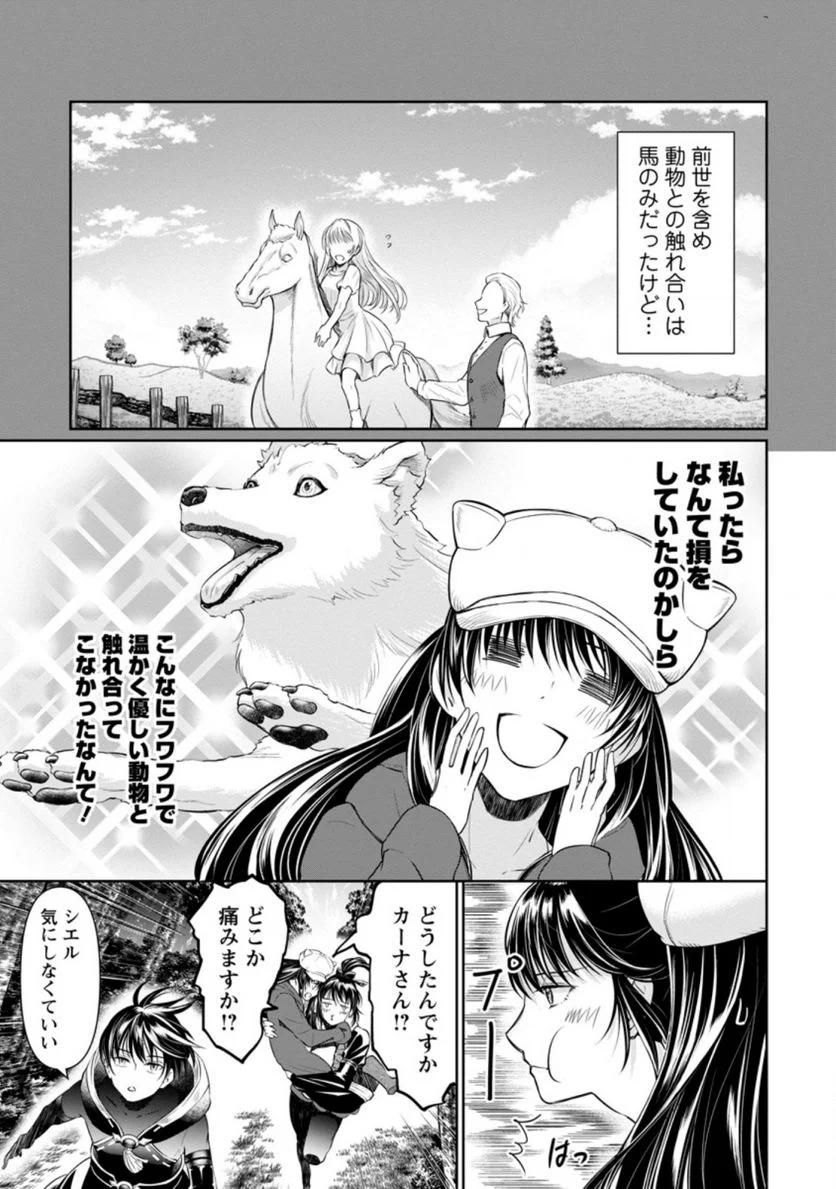 騙され裏切られ処刑された私が……誰を信じられるというのでしょう? - 第11.1話 - Page 3