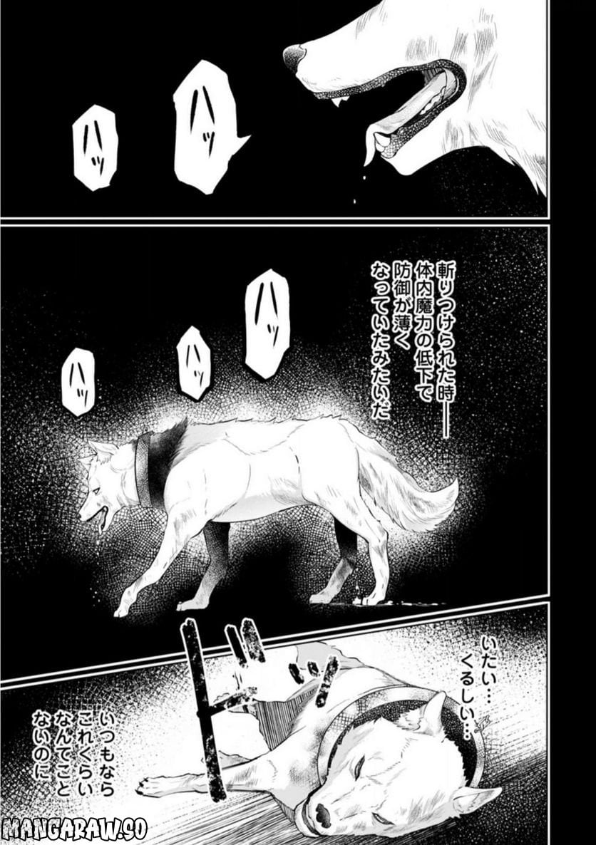 騙され裏切られ処刑された私が……誰を信じられるというのでしょう? - 第17.2話 - Page 5