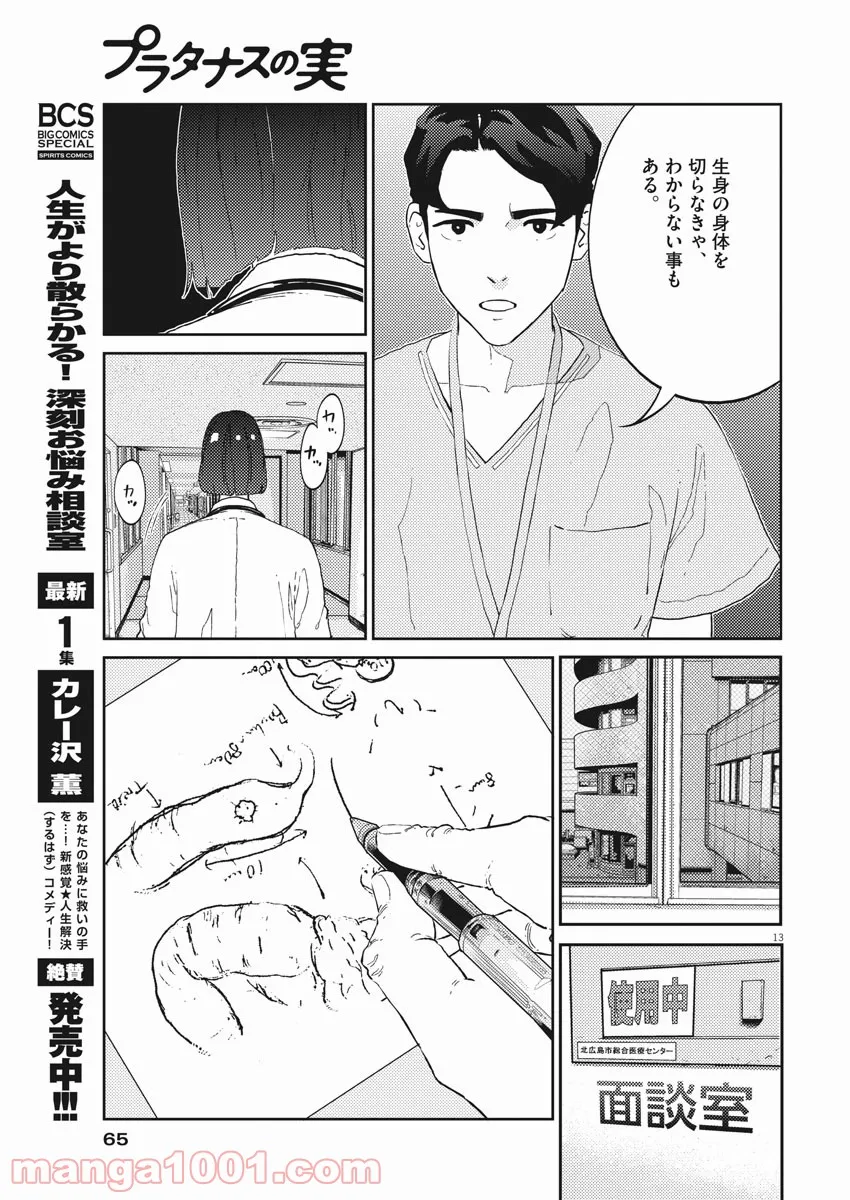 プラタナスの実−小児科医療チャンネル− 第31話 - Page 13