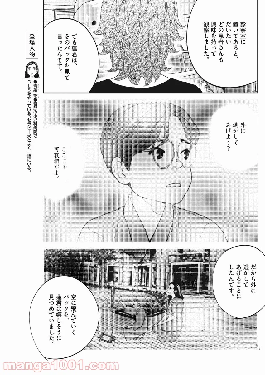 プラタナスの実−小児科医療チャンネル− 第43話 - Page 3