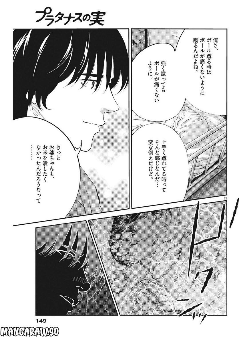 プラタナスの実−小児科医療チャンネル− 第80話 - Page 22