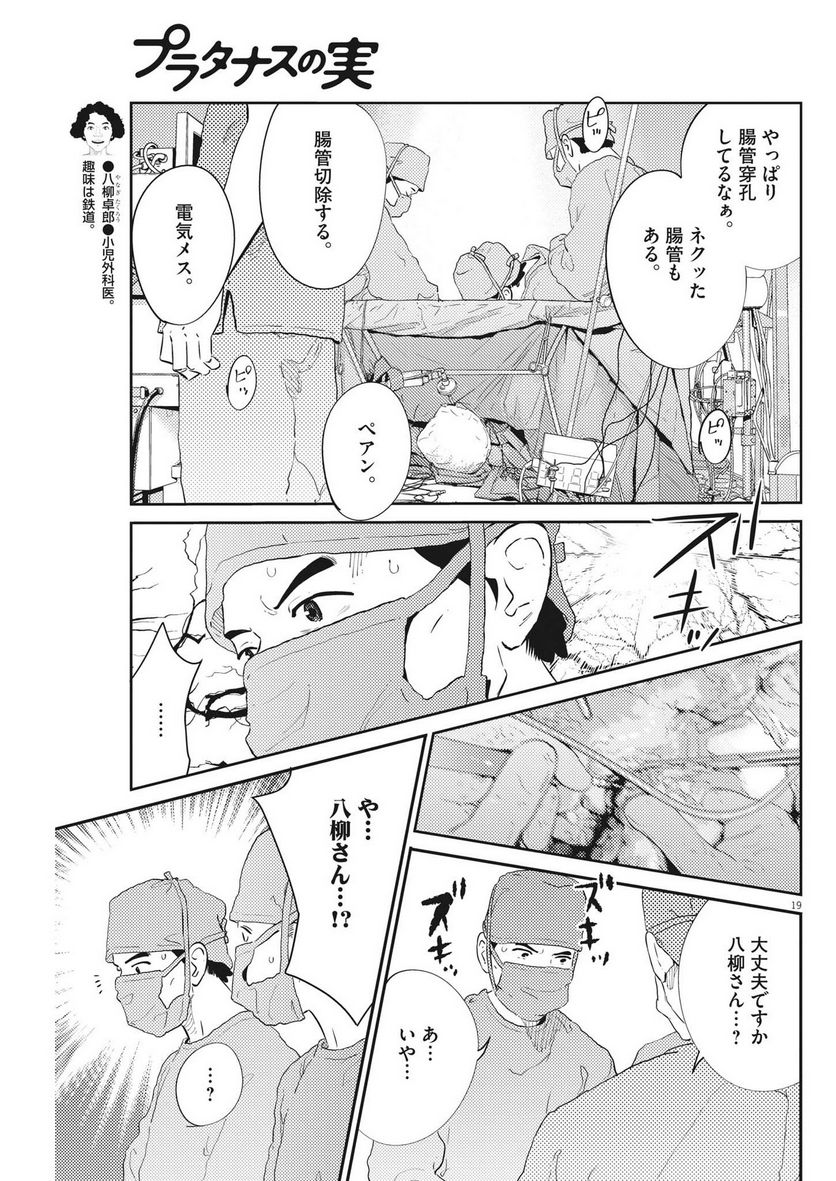 プラタナスの実−小児科医療チャンネル− 第55話 - Page 19