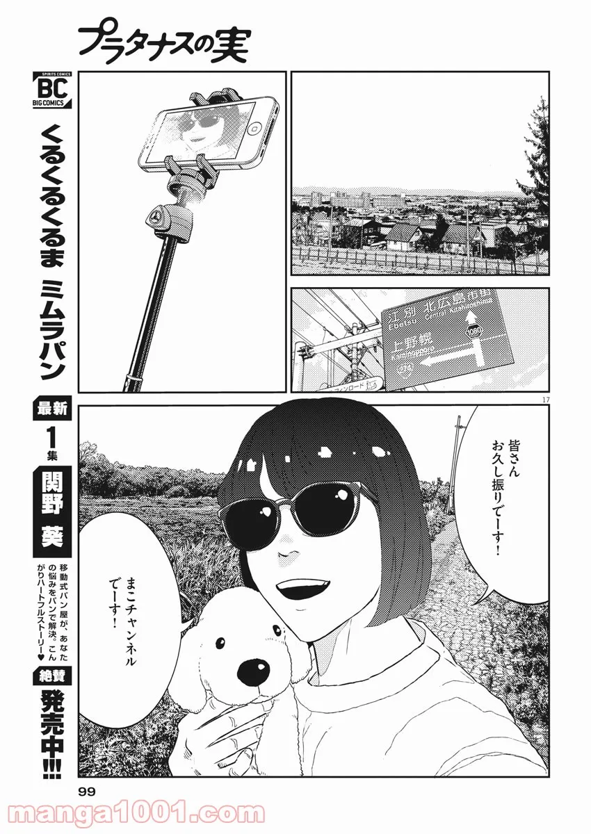 プラタナスの実−小児科医療チャンネル− 第41話 - Page 17