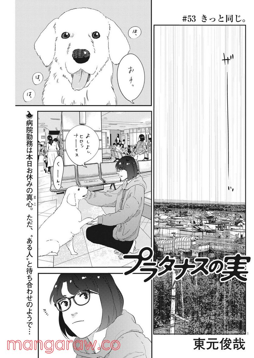 プラタナスの実−小児科医療チャンネル− - 第53話 - Page 1