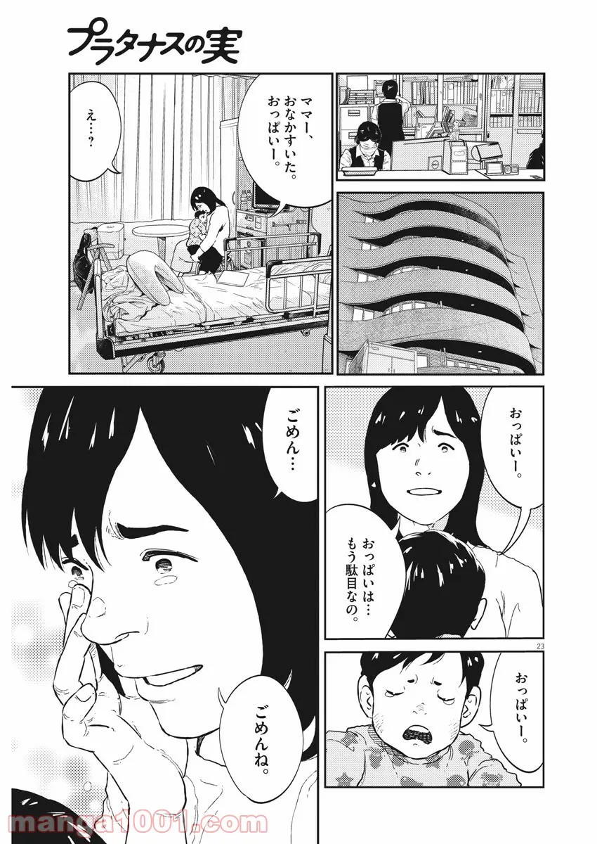 プラタナスの実−小児科医療チャンネル− 第13話 - Page 23