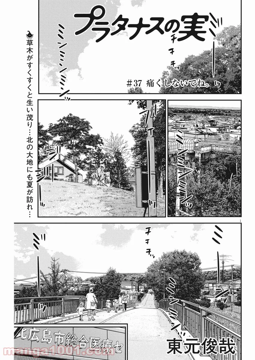 プラタナスの実−小児科医療チャンネル− 第37話 - Page 1