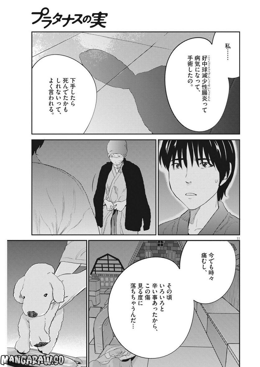 プラタナスの実−小児科医療チャンネル− 第79話 - Page 11