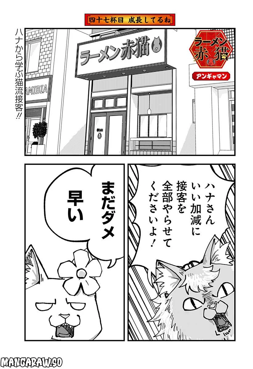 ラーメン赤猫 第47話 - Page 1