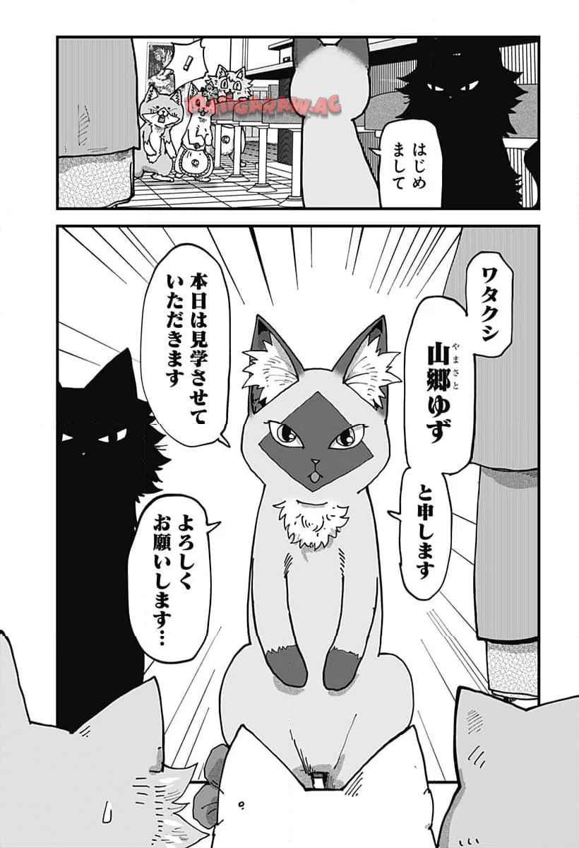 ラーメン赤猫 第110話 - Page 7