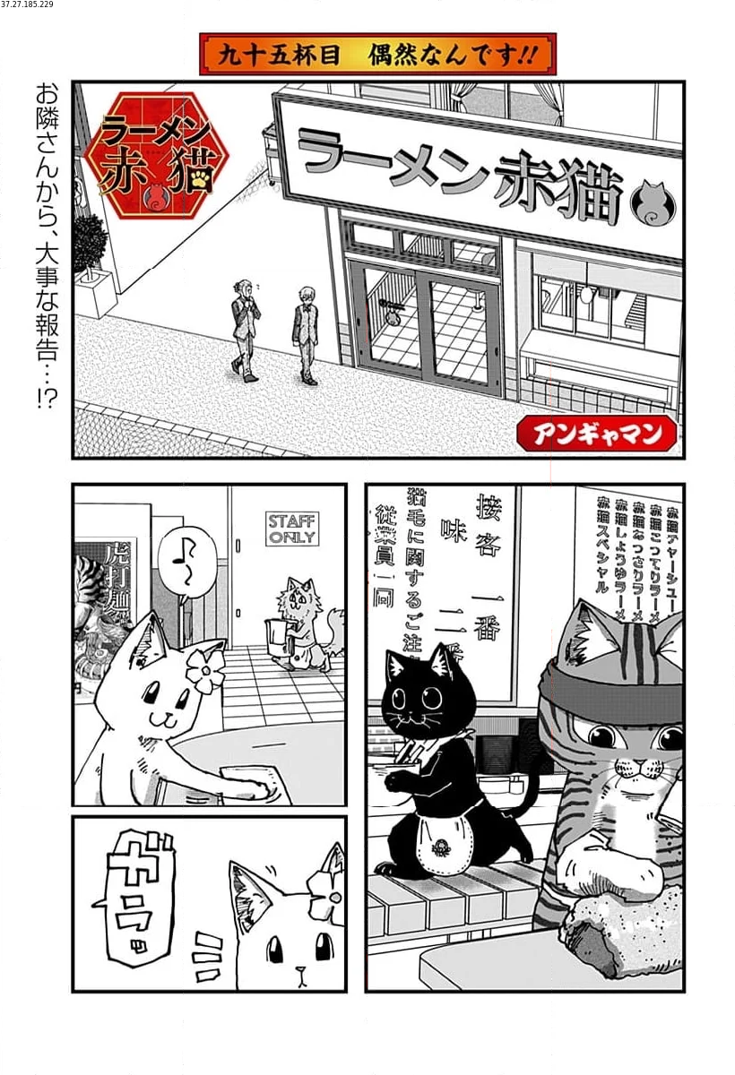 ラーメン赤猫 第95話 - Page 1