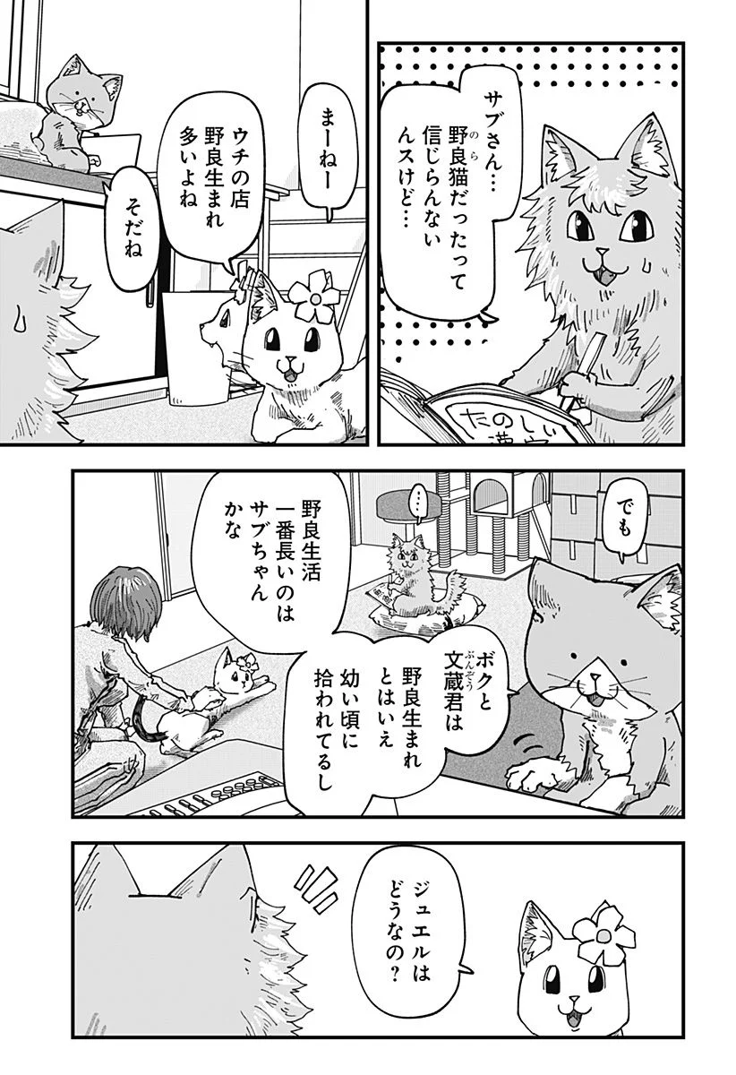 ラーメン赤猫 第55話 - Page 11