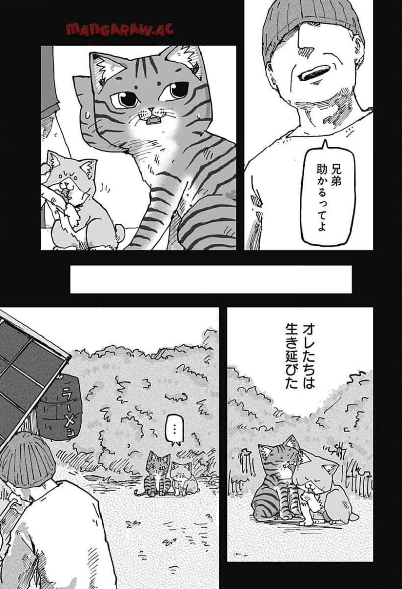 ラーメン赤猫 - 第117話 - Page 15