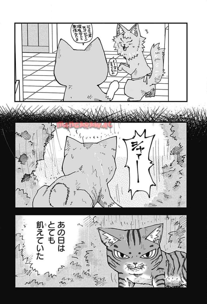 ラーメン赤猫 第117話 - Page 6