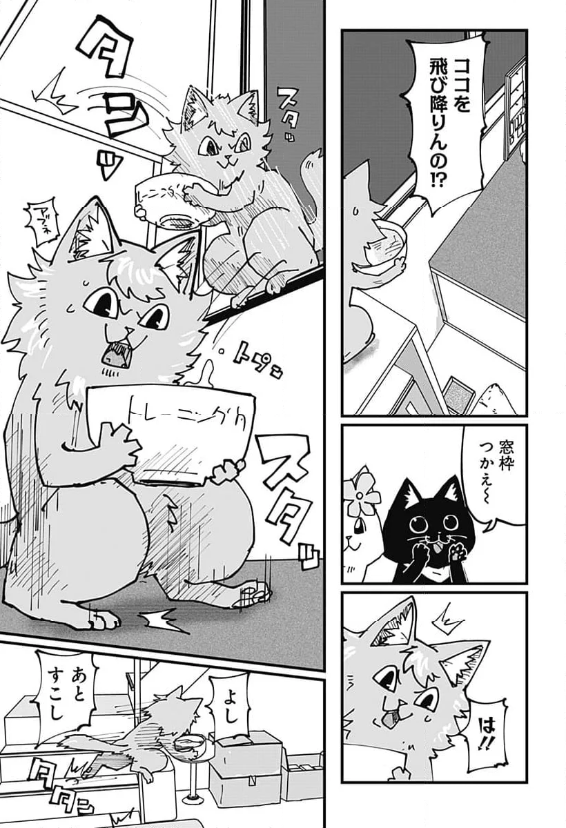 ラーメン赤猫 第75話 - Page 13