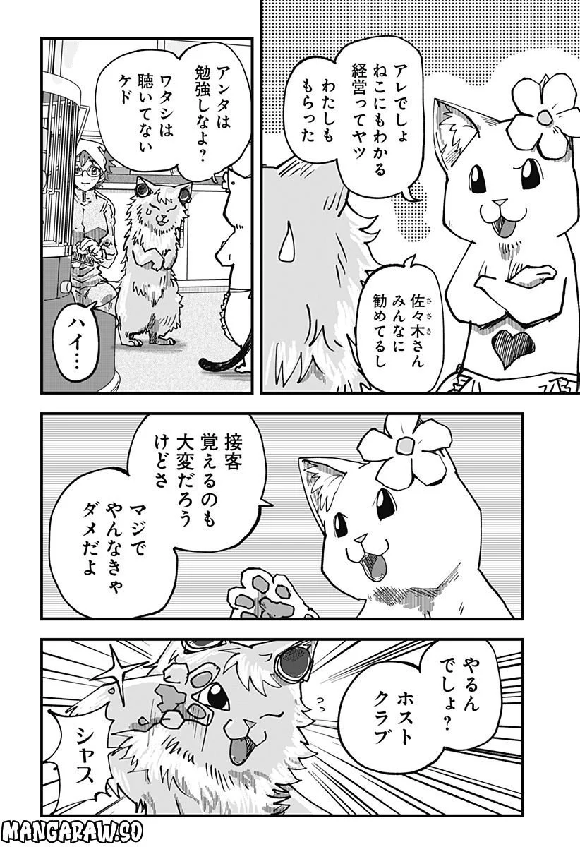 ラーメン赤猫 第43話 - Page 12