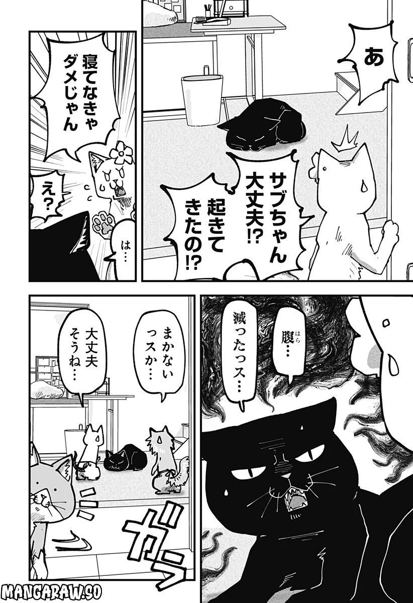 ラーメン赤猫 第51話 - Page 12