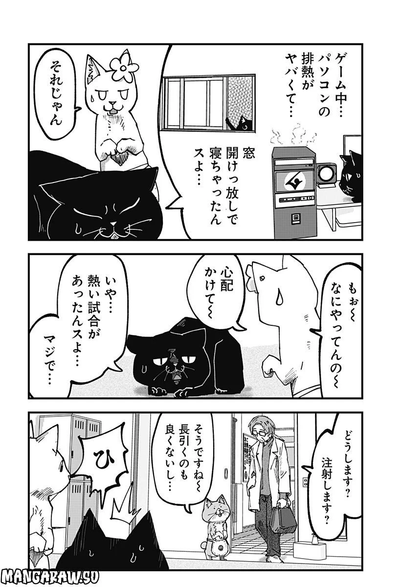 ラーメン赤猫 第51話 - Page 14