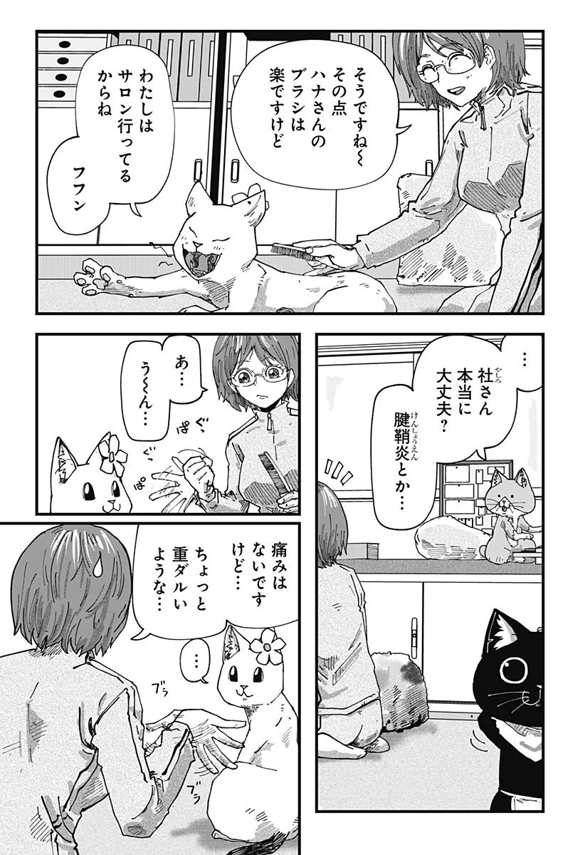 ラーメン赤猫 第54話 - Page 3