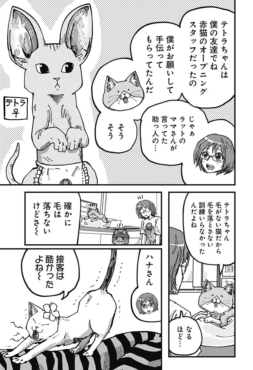 ラーメン赤猫 第68話 - Page 5