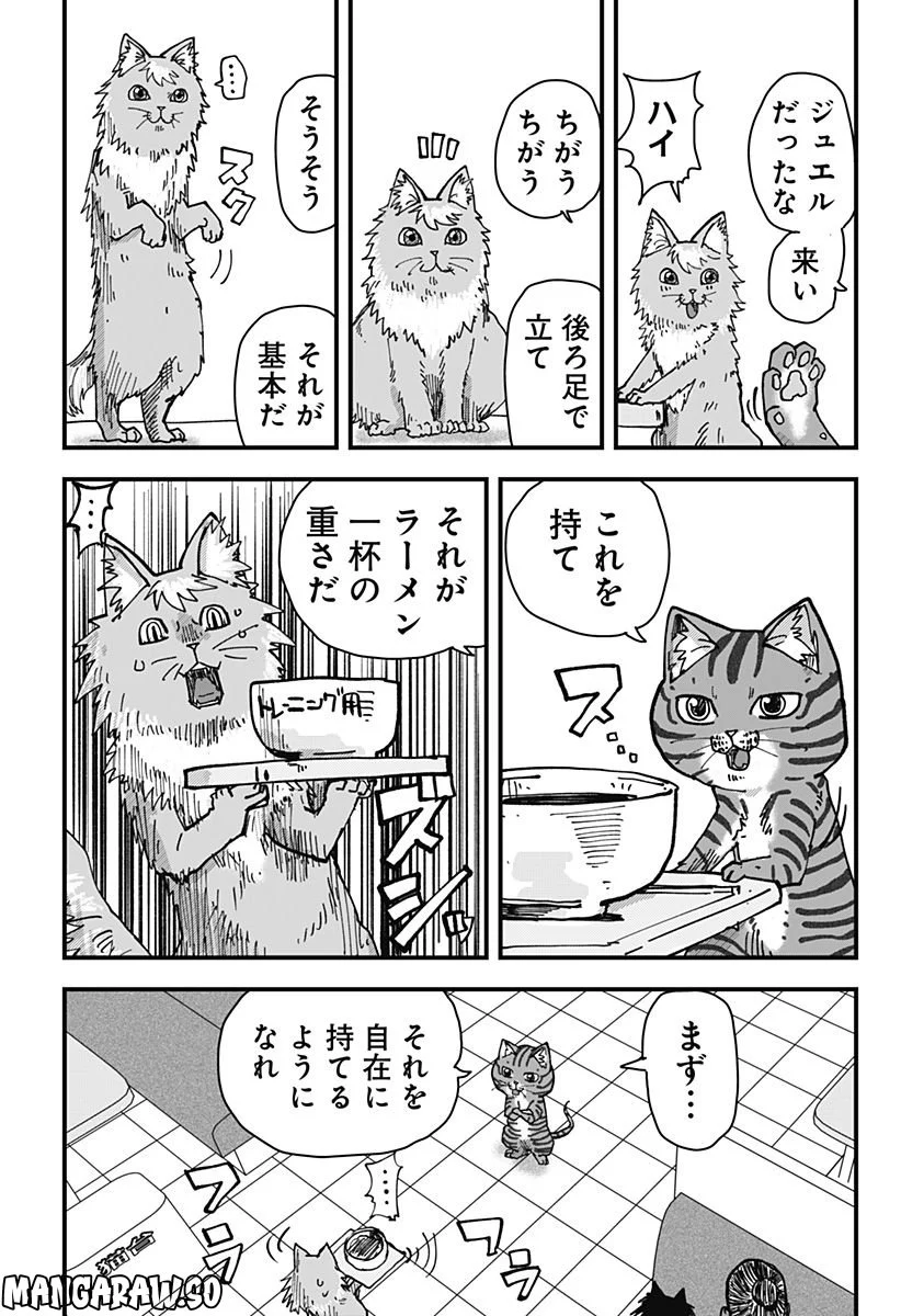 ラーメン赤猫 第41話 - Page 14