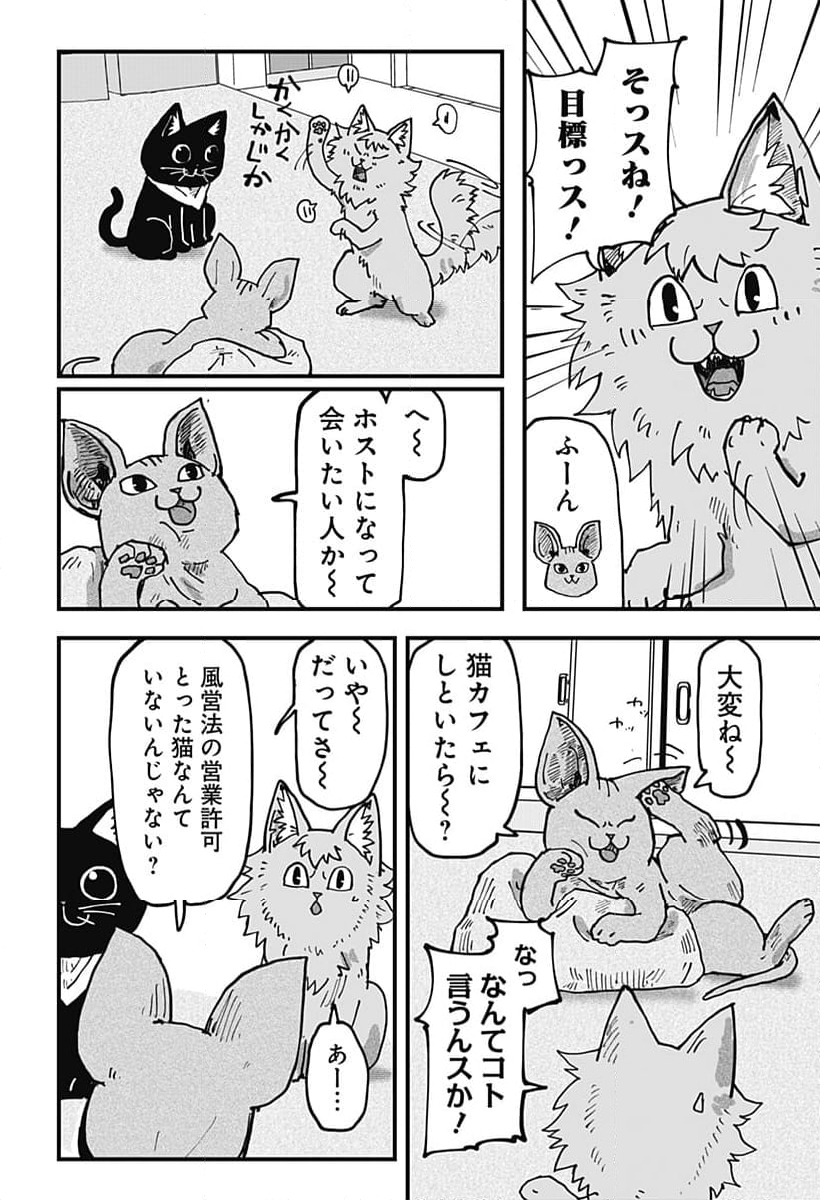 ラーメン赤猫 第99話 - Page 12