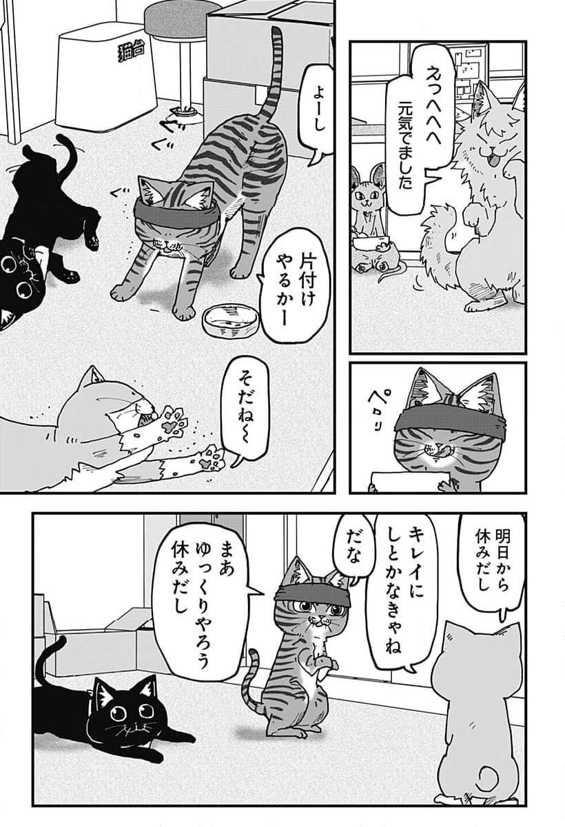 ラーメン赤猫 第99話 - Page 7