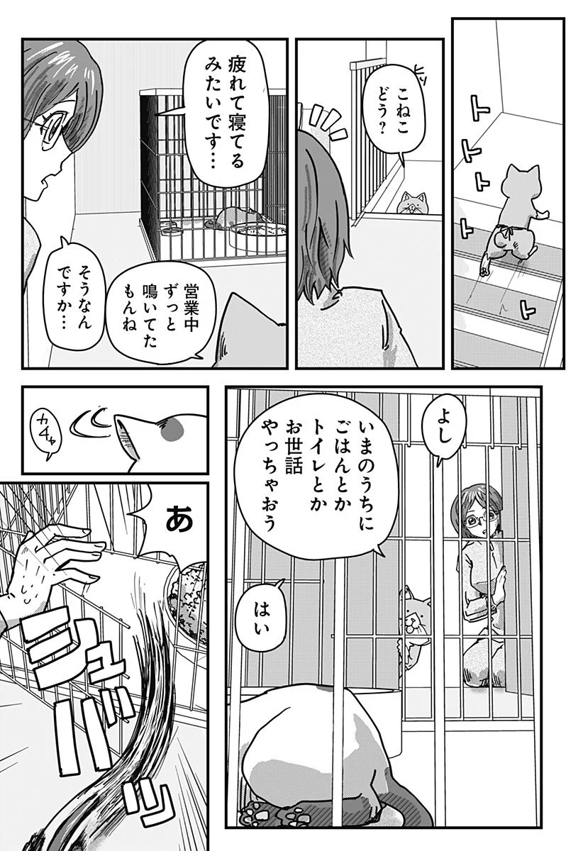 ラーメン赤猫 第35話 - Page 11