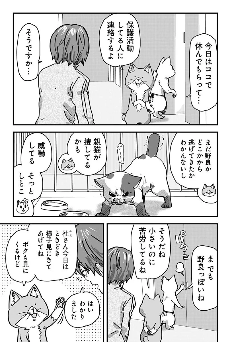 ラーメン赤猫 第35話 - Page 5