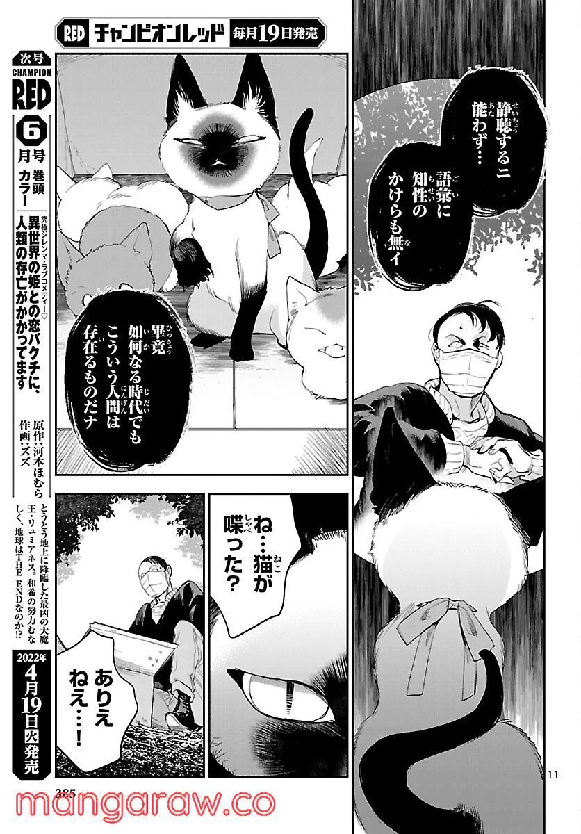 エコエコアザラク REBORN 第21話 - Page 11