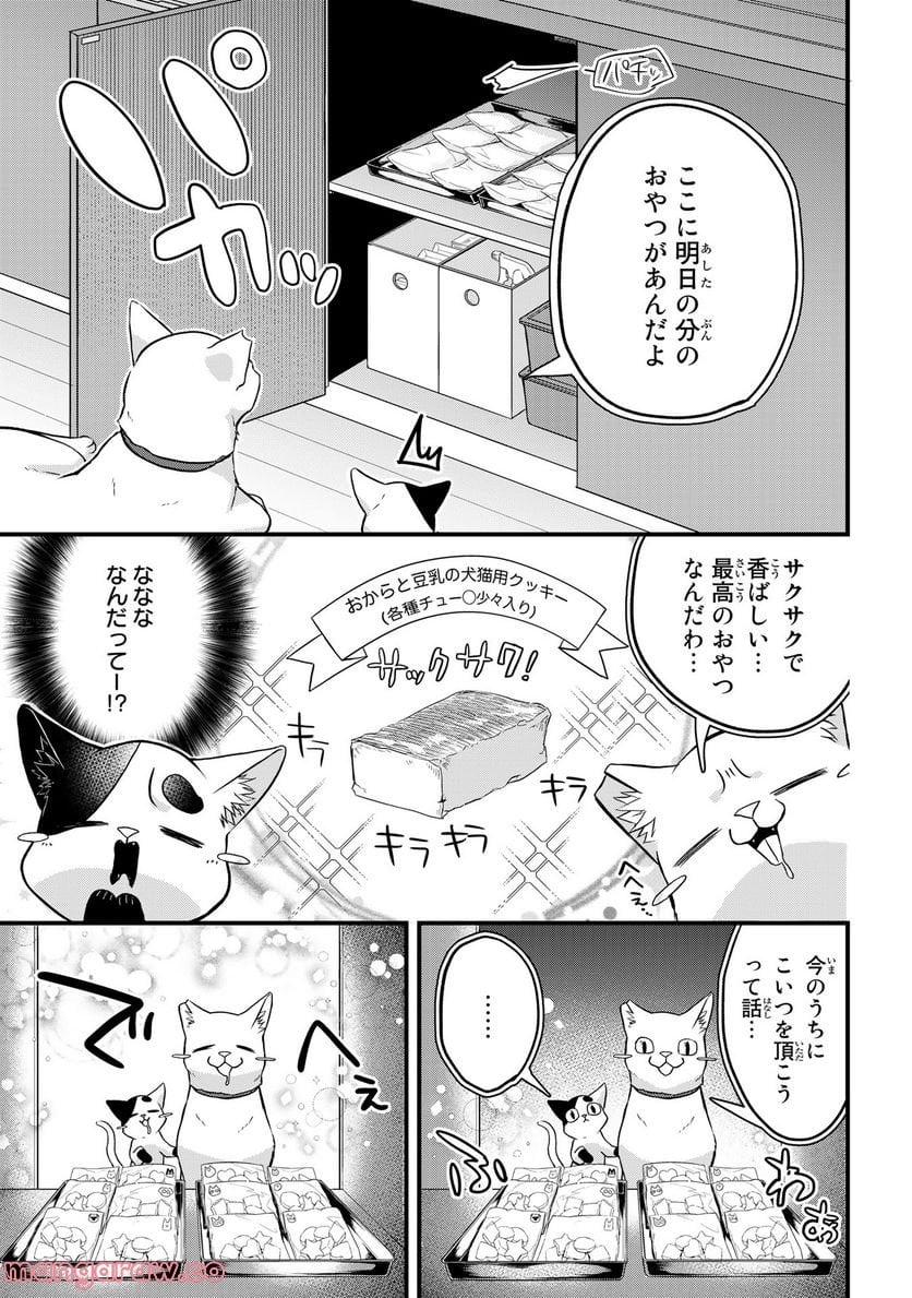 拾われ子猫と元ヤクザ 第26話 - Page 7