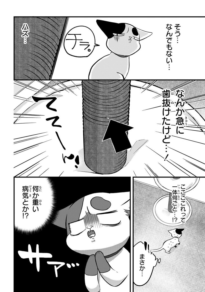 拾われ子猫と元ヤクザ 第38話 - Page 2