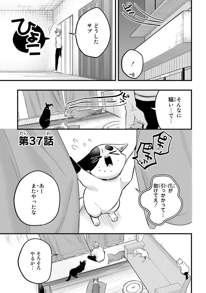 拾われ子猫と元ヤクザ 第37話 - Page 1