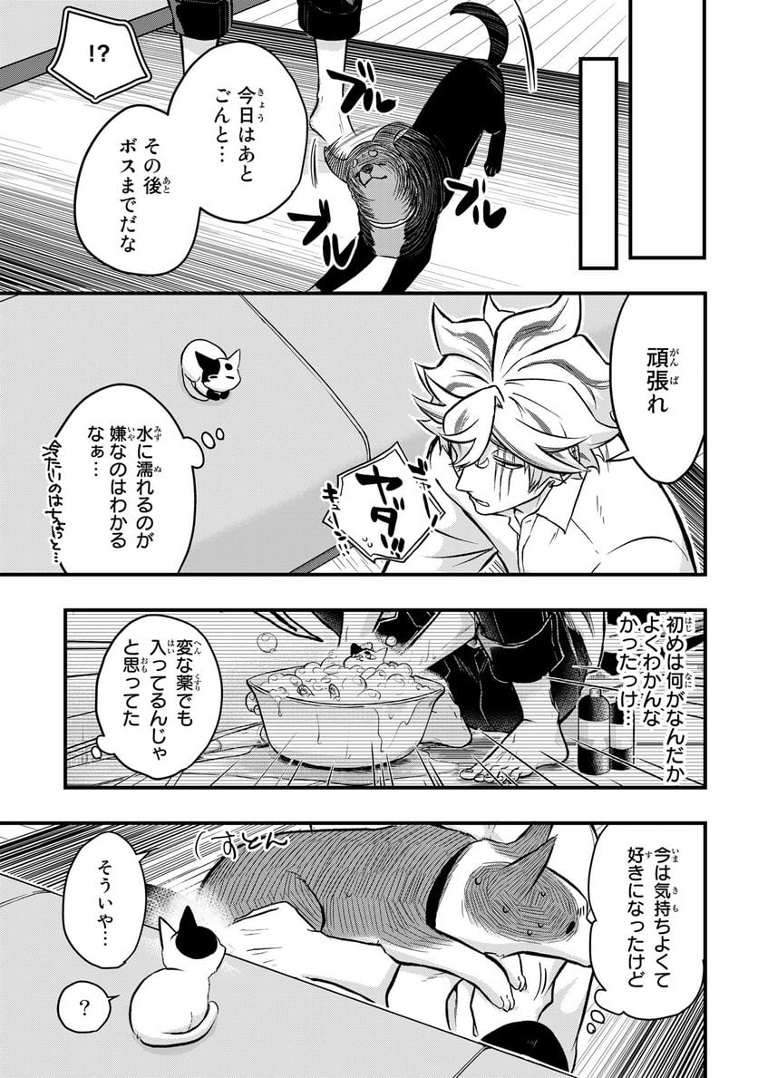 拾われ子猫と元ヤクザ 第39話 - Page 11