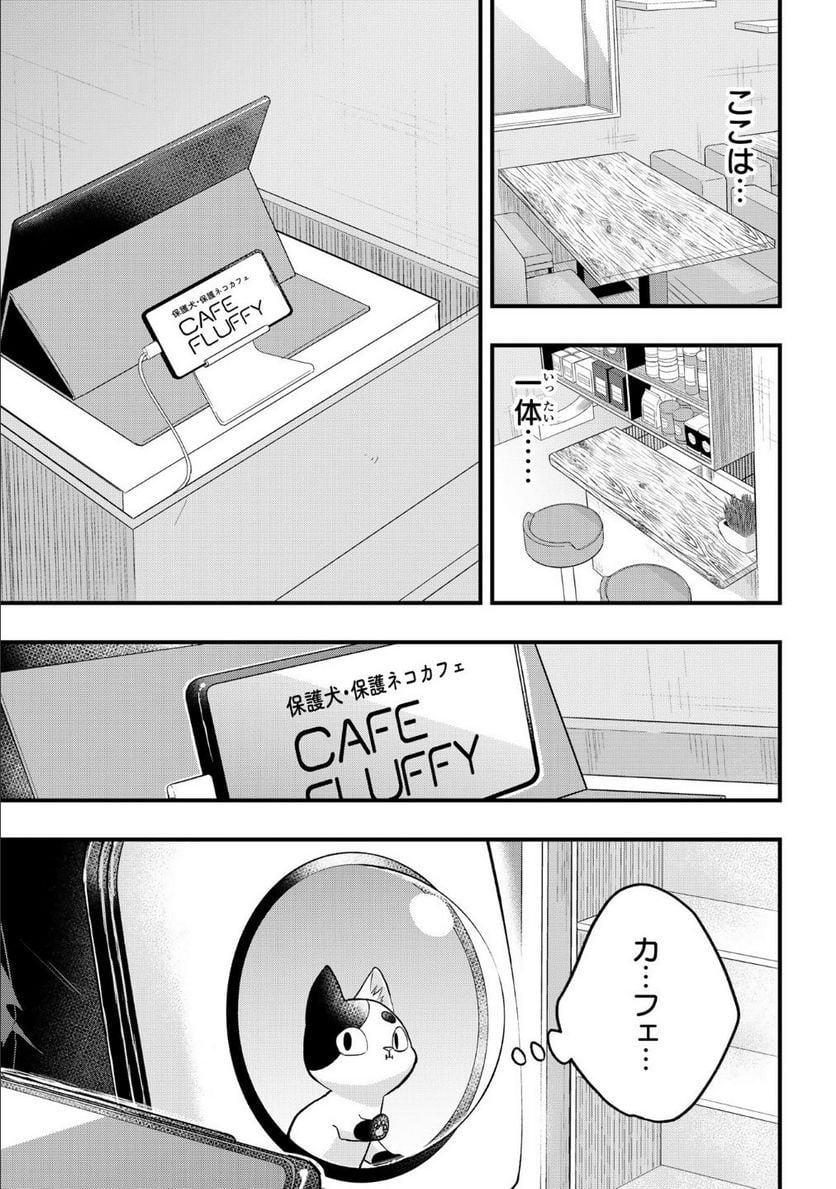 拾われ子猫と元ヤクザ 第8話 - Page 3