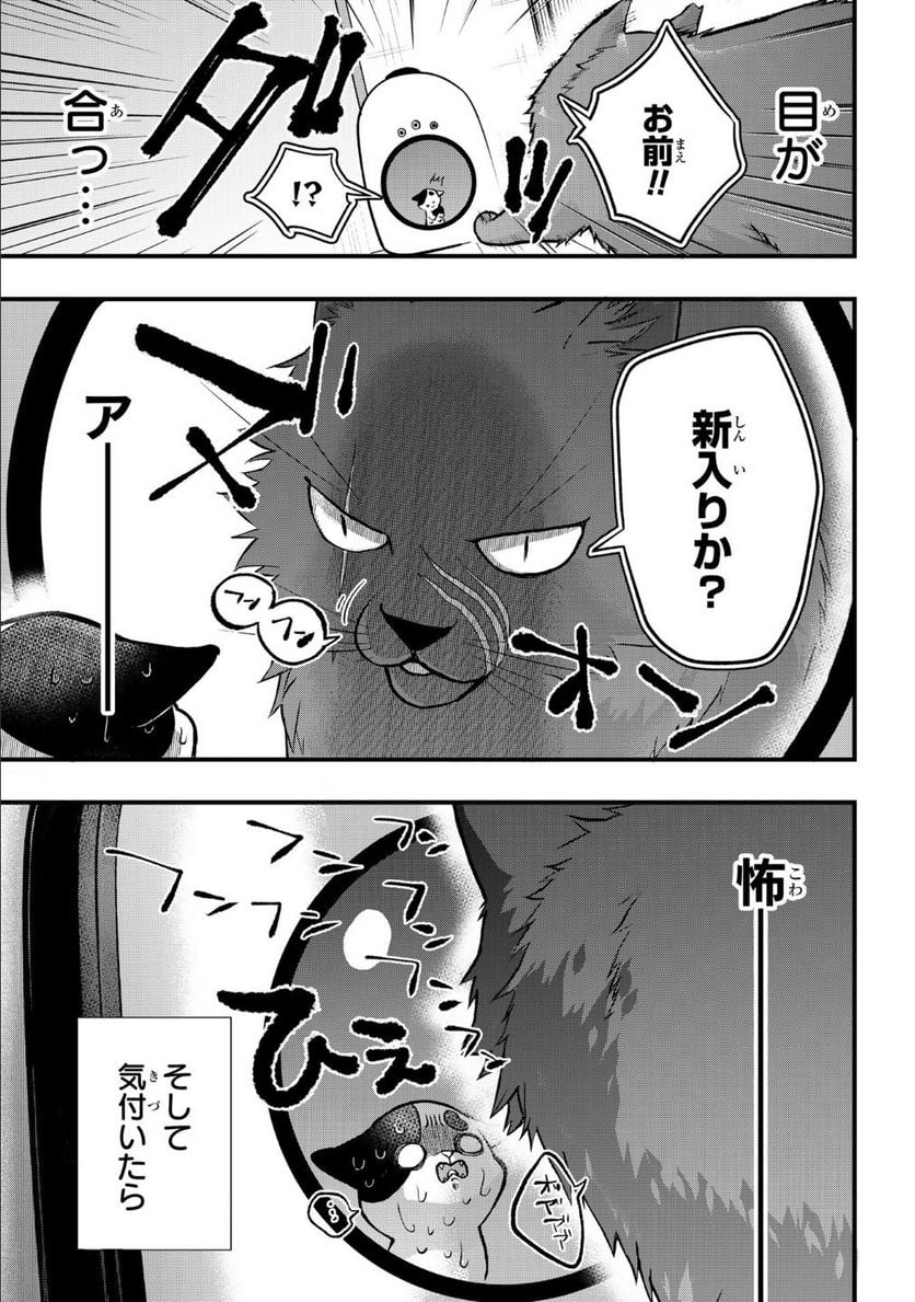 拾われ子猫と元ヤクザ 第9話 - Page 5