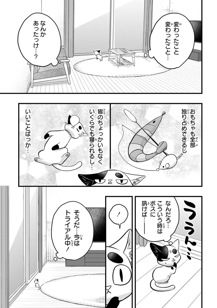 拾われ子猫と元ヤクザ 第42話 - Page 11