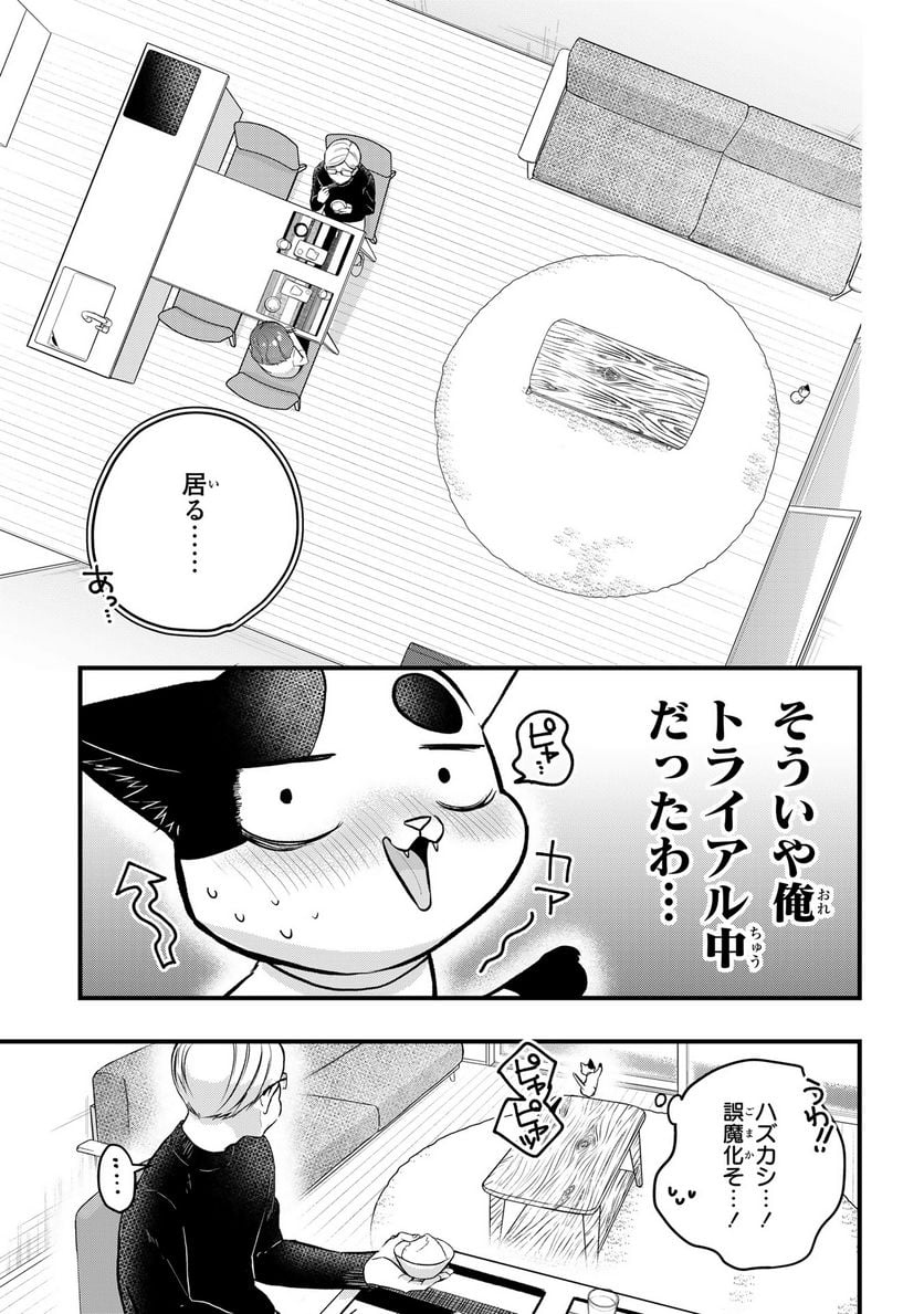 拾われ子猫と元ヤクザ 第42話 - Page 9