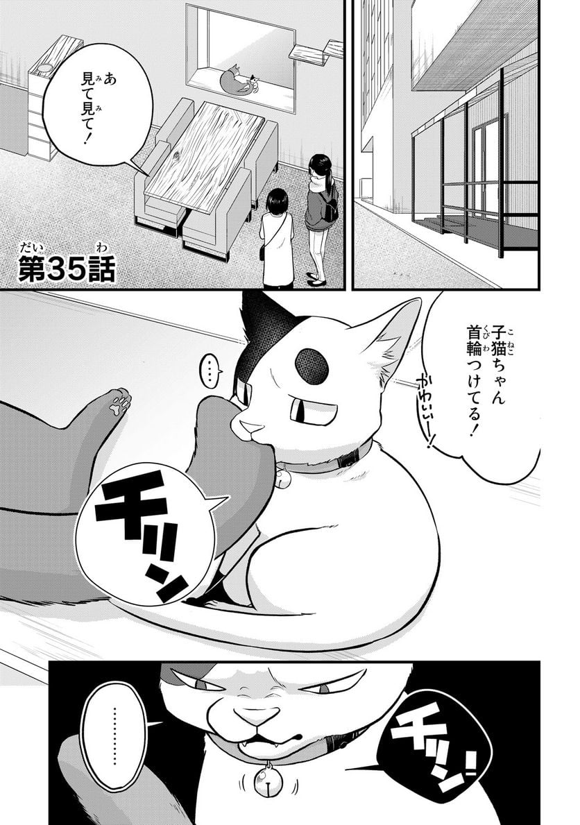 拾われ子猫と元ヤクザ 第35話 - Page 1